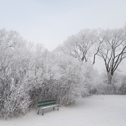 Similar image 8106920