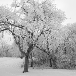 Similar image 8106928