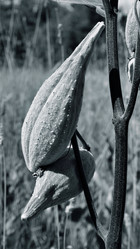 Similar image 8106950