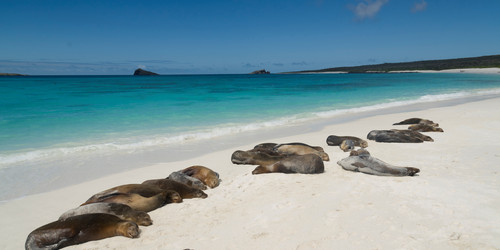 Similar image 8106956