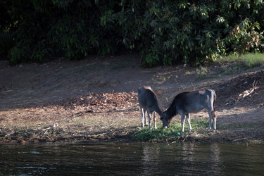 Similar image 8106957