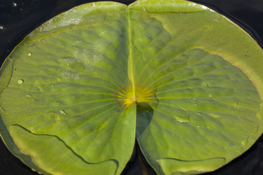 Similar image 8106962