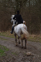 Similar image 8106964