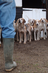 Similar image 8106987