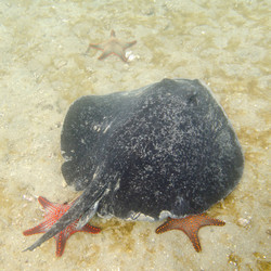 Similar image 8106989