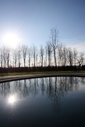 Similar image 8106991