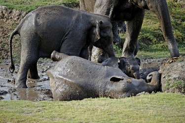 Similar image 8106993