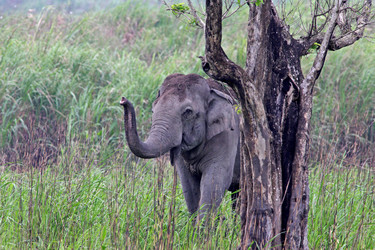 Similar image 8107007