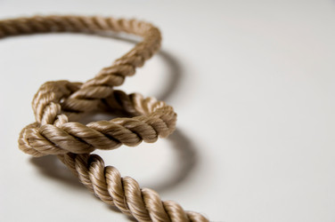 Similar image 8107008