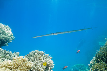 Similar image 8107018