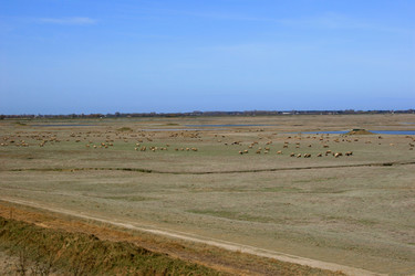 Similar image 8107025