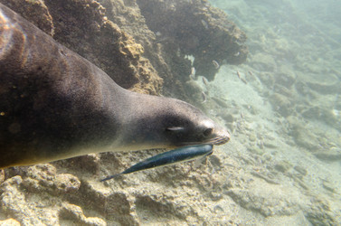 Similar image 8107034