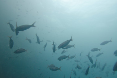 Similar image 8107050