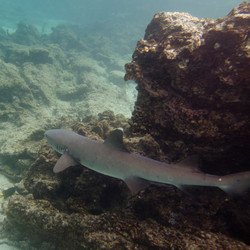 Similar image 8107051