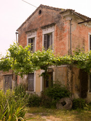 Similar image 8107056