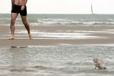 Similar image 8107057