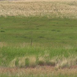 Similar image 8107058