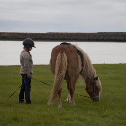 Similar image 8107063