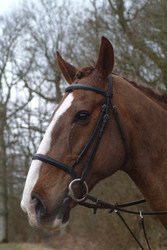 Similar image 8107064