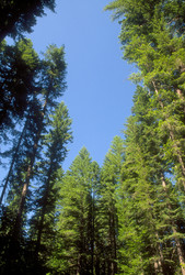 Similar image 8107072