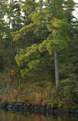 Similar image 8107074