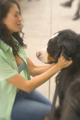 Similar image 8107077