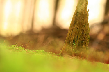 Similar image 8107090