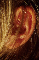 Similar image 8107091