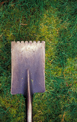 Similar image 8107099