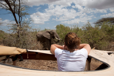 Similar image 8107101