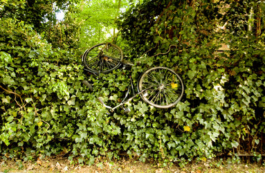 Similar image 8107103