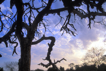 Similar image 8107104