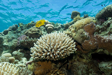 Similar image 8107105