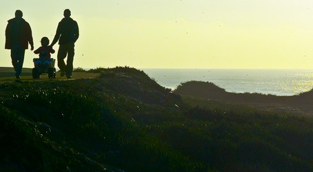 Similar image 8107113