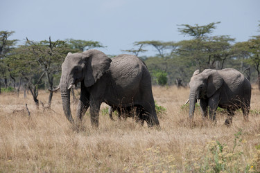 Similar image 8107116