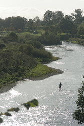 Similar image 8107117