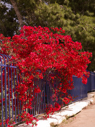 Similar image 8107122