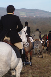 Similar image 8107123