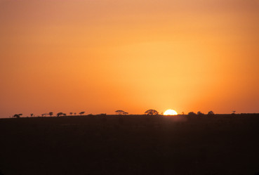 Similar image 8107124