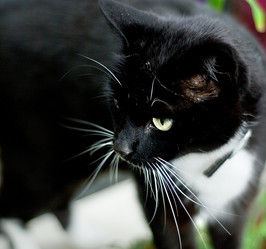 Similar image 8107129