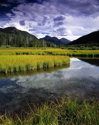 Similar image 8107133