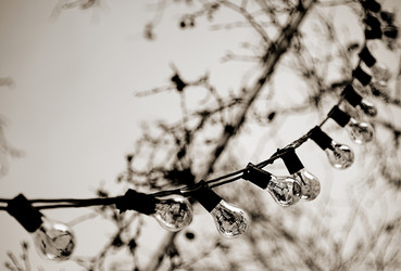 Similar image 8107134