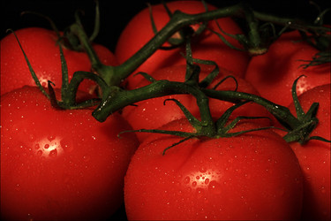 Similar image 8107135