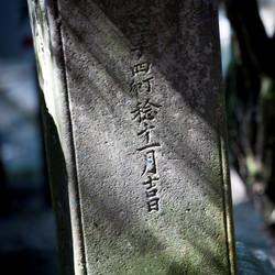 Similar image 8107144