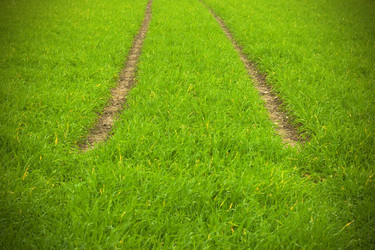 Similar image 8107149