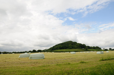 Similar image 8107150