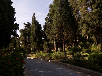 Similar image 8107151