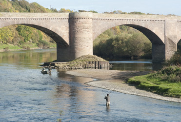 Similar image 8107156