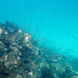 Similar image 8107158