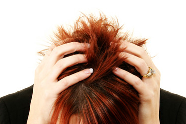 Similar image 8107164